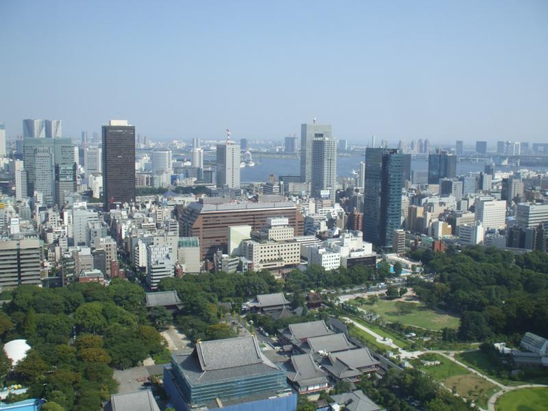 右の森が芝丸山古墳